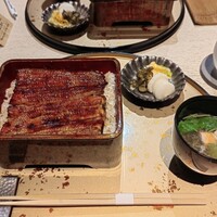 うなぎ 目白ぞろ芽 - 
