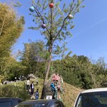 BABYFACE SKY TERRACE - 