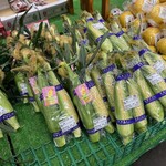 すいかの里 植木 - 