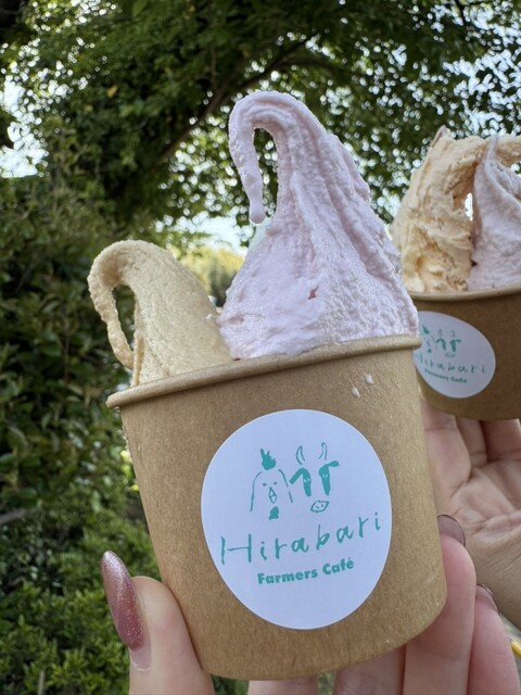 Hirabari Famers Cafe