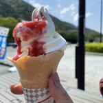 道の駅「信州蔦木宿」てのひら館 - 赤いルバーブのソースは下の方まで入っていました