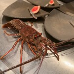 神楽坂 鉄板焼 向日葵 - 