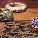 MAZ - 2025.5 アンデスの高原