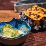 MAZ - 2025.5 冷たい海