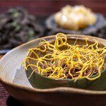 MAZ - 2025.5 高地の森林