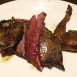 PALOMBE - キジバト