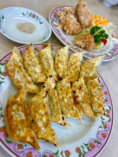 Gyoza no Osho Nara Sakurai Ten photo 2