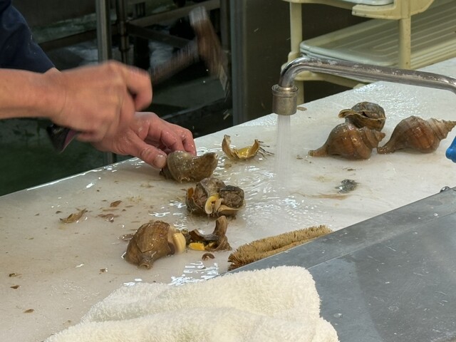 フードD エクスプレス見山店 - 青葉（コンビニ・スーパー）の写真