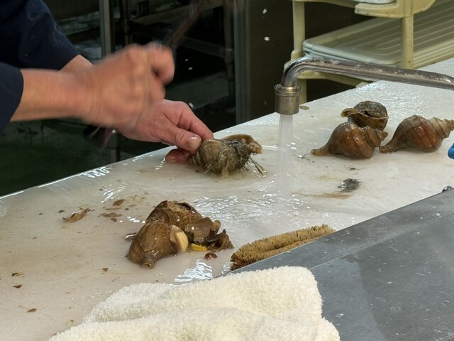 フードD エクスプレス見山店 - 青葉（コンビニ・スーパー）の写真