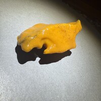 隼 - 