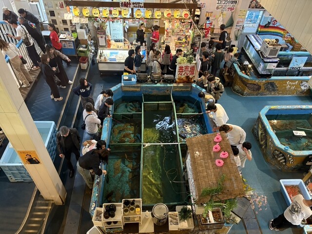 Bakuchou Umi Ichiban Maguro Itchou photo 5