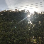 カンデオホテルズ - 