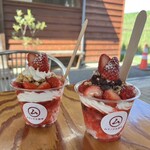 ムラノナカ珈琲 - いちごミニパフェ自家製あんこトッピング＆いちごミニパフェ
