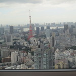 アジュール フォーティーファイブ - 東京タワーが眼前に。さらにお台場も見えてます。