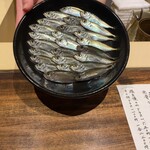 温石 - 豆アジ。今朝採れたて。綺麗でとても新鮮