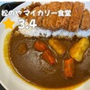 松のや マイカリー食堂 四日市芝田店