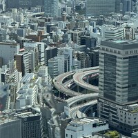 広東料理 センス - 