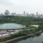 SAKURA - 大阪城公園