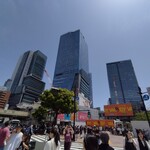 スターバックスコーヒー 渋谷スクランブルスクエア店 - 