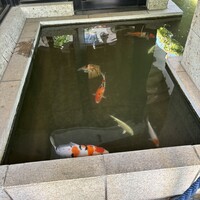 浅草むぎとろ 本店 - 