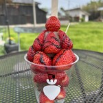 奥山いちご農園 plate - 