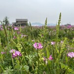 奥山いちご農園 plate - 