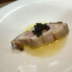 セルサルサーレ - 