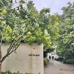 IVY PLACE - 雨が降っていると緑が濃くて雰囲気ある