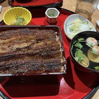 炭焼 うな富士 有楽町店 - 上うな重