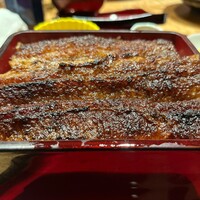 炭焼 うな富士 有楽町店 - 上うな重