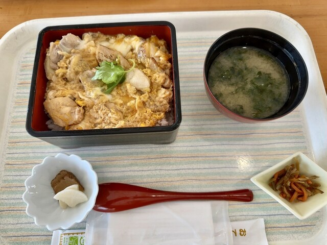 新玉川温泉 食堂 - 仙北市その他（丼）の写真