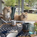 CABOT COVE MUSEUM TERRACE