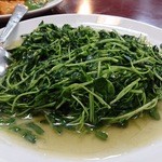 馬さんの店 龍仙 - 豆苗（そら豆の芽の炒め）