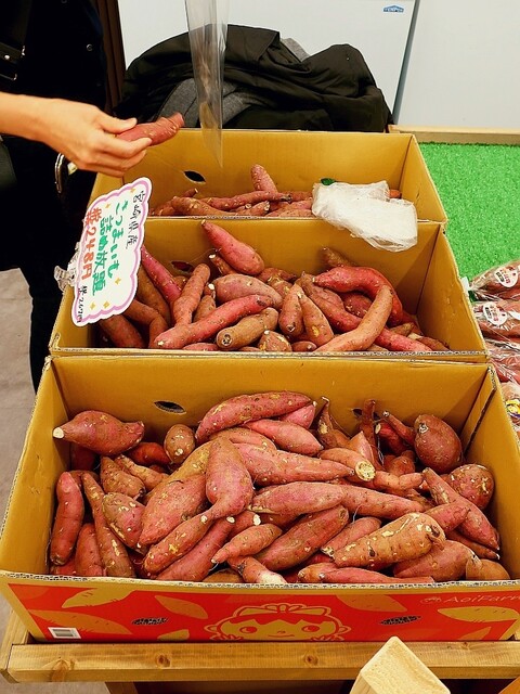 Wakuwaku Hiroba Sentoraru Paku Ten photo 4