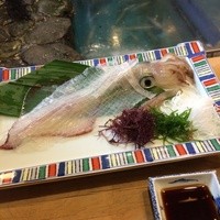 河太郎 中洲本店 - 真いか（変身前）