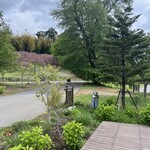 garden AUX PARADIS - 