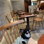 カフェレステライ・オシノ - 