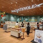 CANTEVOLE - 
