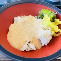浅草むぎとろ 本店 - 
