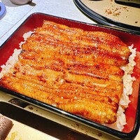 うなぎ 目白ぞろ芽 - 