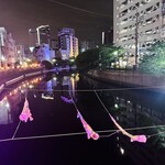 きりん - 大岡川と鯉のぼり！