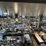 まぐろとかめ - 