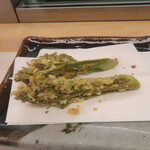 天一 - タラの芽