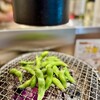 ホルモン でこぼこ