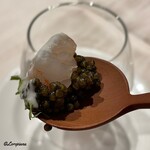 プチレストラン ブーケ・ド・フランス - ぷりっぷりのボタン海老をキャビアの塩味とクリームソースで