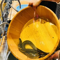 入谷鬼子母神門前のだや - 