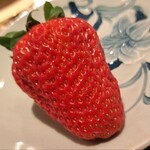 季節一品料理 藤原 - 