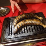 横濱ホルモン会館 エース 横浜西口店 - 