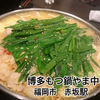博多もつ鍋 やま中 赤坂店 - 