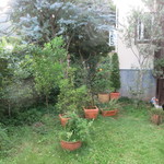 ラ・ボッテガ・ゴローザ - 庭